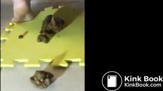 Wife taking multiple shits