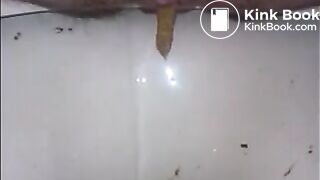 Hairy granny shitting closeup