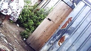 outdoors shitting unusual cleaning 034 (granny has diarrhea in panties)