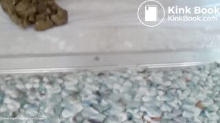 Girl pooping - video 91