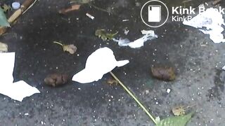 Wonderfull poop