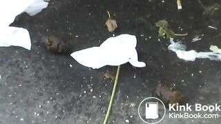 Wonderfull poop