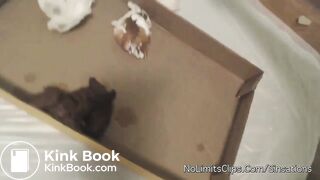 Thick white cutie shits in a box and wipes