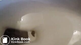 Fat ass toilet plops