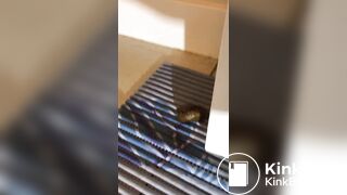 Hot Amateur Woman Pooping Compilation