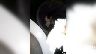 Scat farming women's toilet