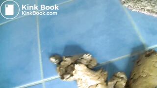 Large turd is birthed