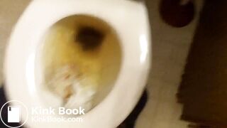 Gabbay Toilet Poop 1