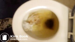 Gabbay Toilet Poop 1