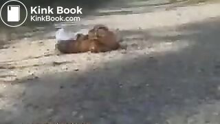 Beautiful girl shitting on the road