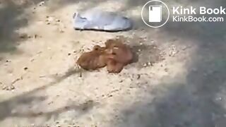 Beautiful girl shitting on the road