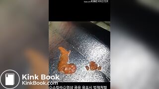 korean huge scat