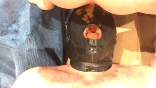 Pig eating three loads of shit