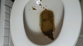 Bbw sloppy shit in toilet.