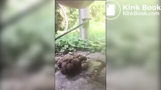 That wrecked butthole