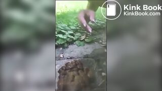 That wrecked butthole