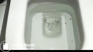 Scat034