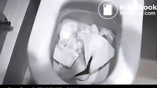 Scat034