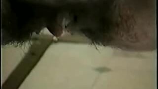 Sexist pregnancy poop