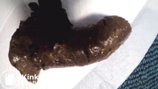 pooping compilation - video 3