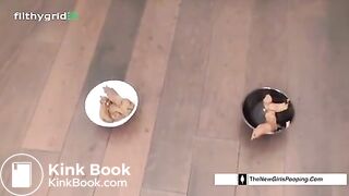 Hot Ebony and Hot White Girl Poop Together