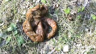 Female shitting in the dunes