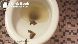 Sexy girl shits over the toilet for us