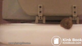 Sexy girl shits over the toilet for us