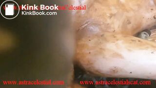 Christmas Epic Shit Party. Trailer for 3-4 parts