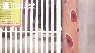 A Nice Visit To The Beach