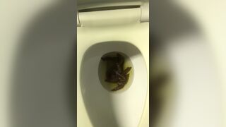 Endless Turds 5 - video 2