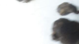 scat webcam - video 6