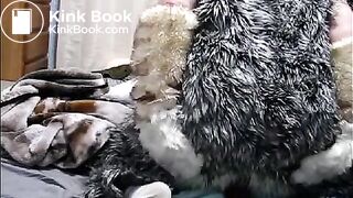 fursuit shitting on bed