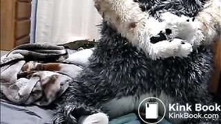 fursuit shitting on bed