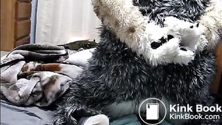 fursuit shitting on bed
