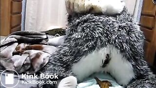 fursuit shitting on bed