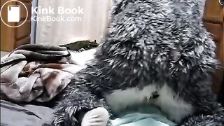 fursuit shitting on bed