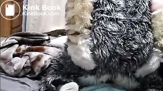 fursuit shitting on bed
