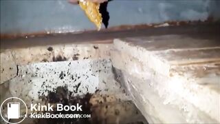 Creampied girl shitting in a dirty toilet