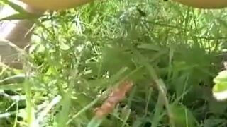 girl diarrhea on the grass