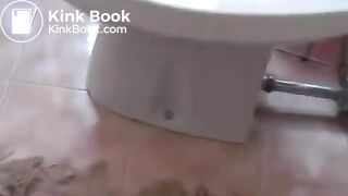 Squat pooping on bidet