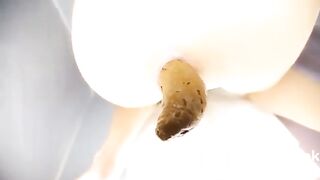 compilation of amazing girls and women shitting