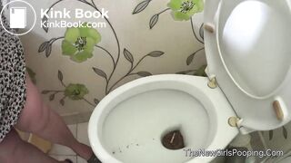 toilet smoking 2