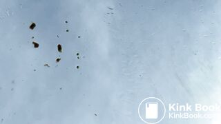 I poop on the glass of my car on holidays in Spain