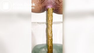 Soft Long Poops in the Toilet