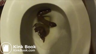 clogged toilet big poop
