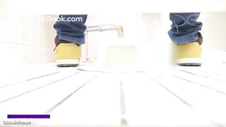 japanese toilet poop - video 6