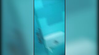 rest stop toilet shit