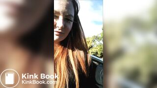 rest stop toilet shit