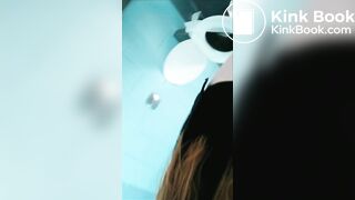 rest stop toilet shit